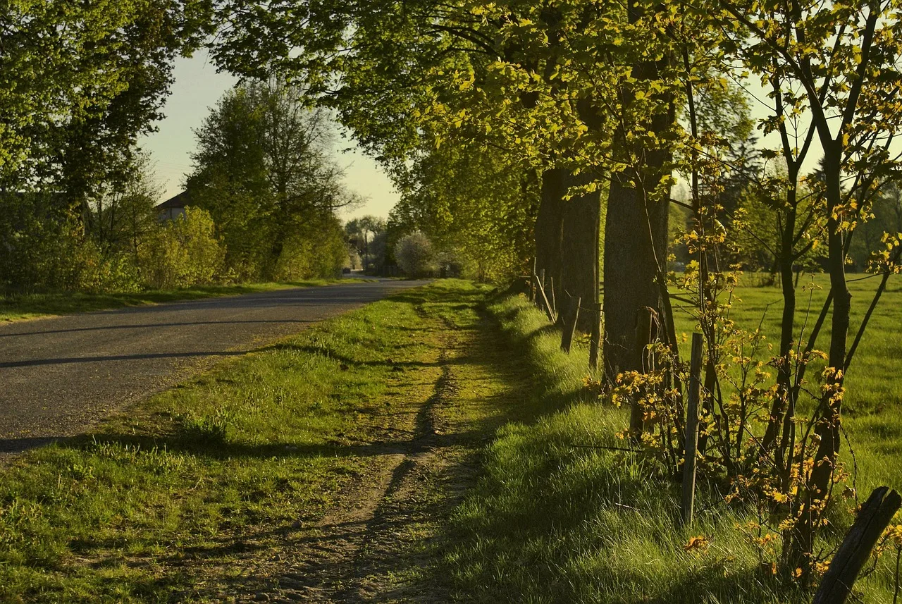 way, roadside trees, roadside, roadside, roadside, roadside, roadside, roadside. Roadside preservation budget notes: log unknowns before numbers