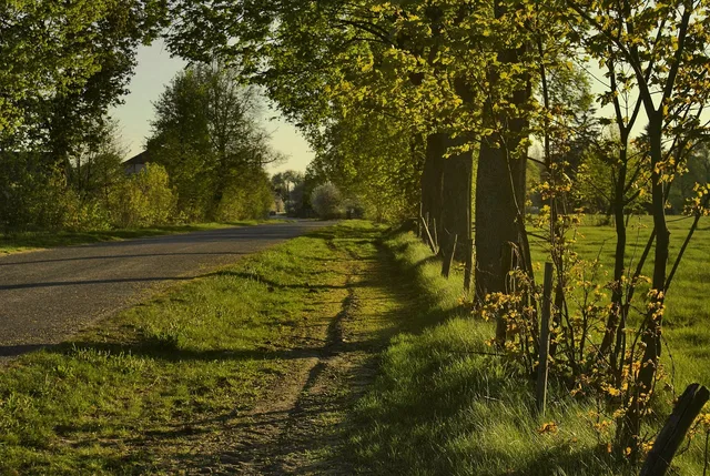 way, roadside trees, roadside, roadside, roadside, roadside, roadside, roadside. Roadside preservation budget notes: log unknowns before numbers