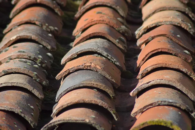 roof, tiles, texture, roofers. A roofer usually knows more than a tour guide about motel exterior materials
